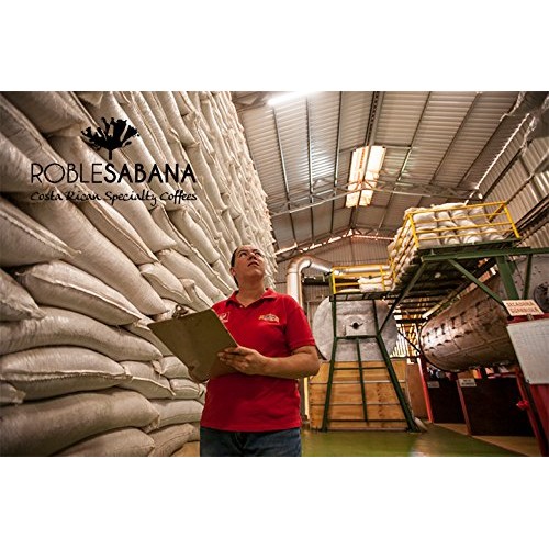 Roblesabana Organic Red Honey Costa Rica Specialty Coffee - Lig