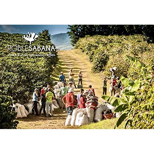 Roblesabana Organic Red Honey Costa Rica Specialty Coffee - Lig