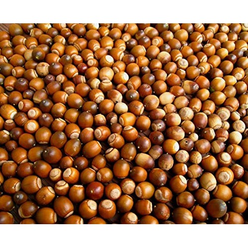 Rom America [ 1 Pound ] Acorn Starch Powder Flour 도토리묵 가루