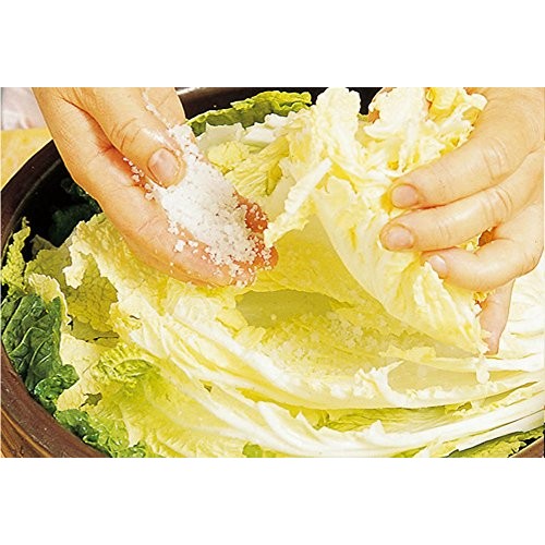 Rom America - 2.2 Lb [1Kg] Korean Mineral Sea Salt Coarse For Ki