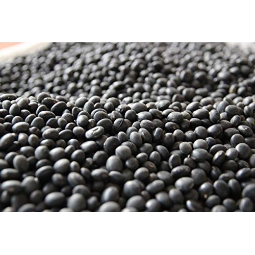 Rom America Black Bean Green 속청 통 서리태 2 Lb