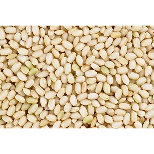 Rom America Brown Sweet Rice Sticky Rice Glutinous Rice 현미찹쌀