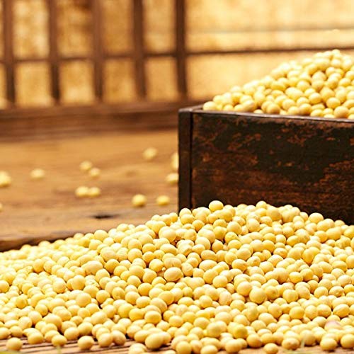 Rom America Non-Gmo Soybeans 2 Lbs