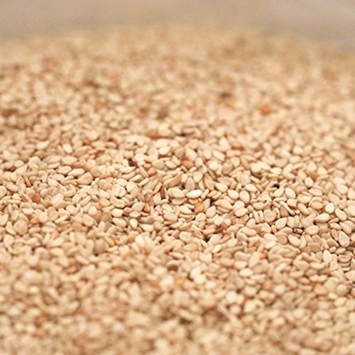 Rom America White Roasted Toasted Sesame Seeds 16 Oz 볶음참깨