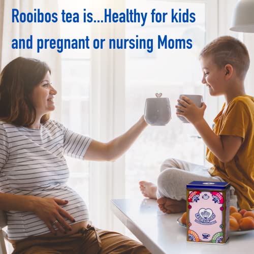 Rooibos Tea Immune Support Variety Tin - 40 Usda Organic Non Gmo