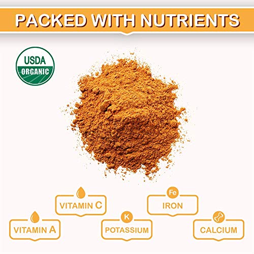 Roots Circle Usda Organic Goji Berry Powder | Bulk Supply Of Goj