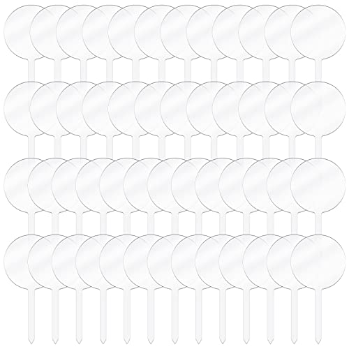 50 Pieces 2 Inch Round Acrylic Cake Toppers Clear Blank Mini Diy