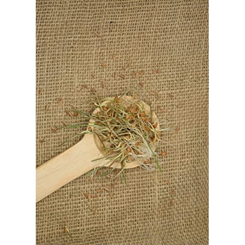 Royal Lee Organics Organic Hard Red Wheat Berries 10 Lb Bag