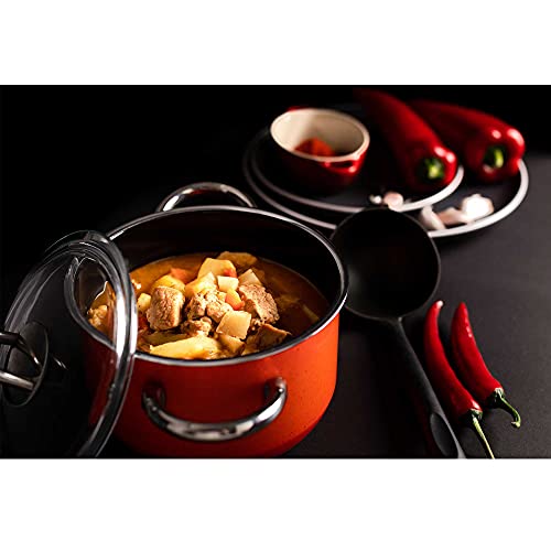 Rubin Artisan Hungarian Hot Paprika Powder 100% Pure From Szeged