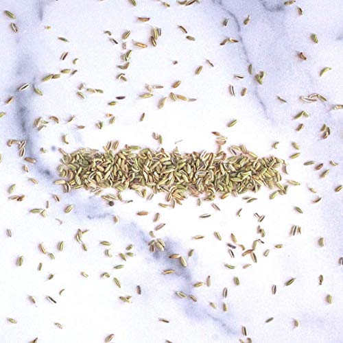 Rumi Spice Foraged Whole Seed Fennel, 2.1 Oz