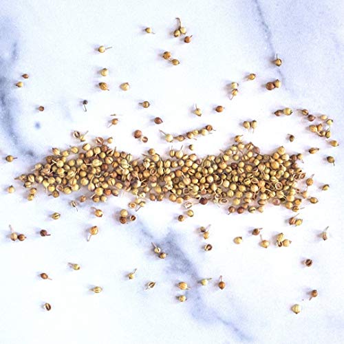 Rumi Spice Herati Whole Seed Coriander, 1 Oz