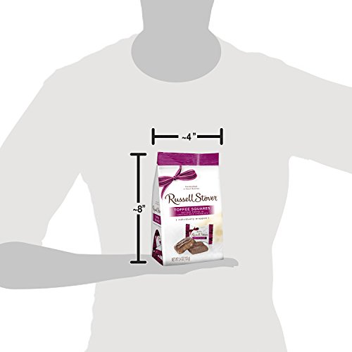 Russell Stover Milk Chocolate Toffee Squares Mini Gusset 6oz pa...