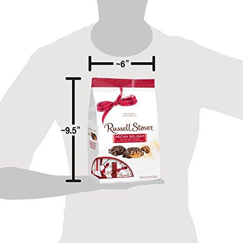 Russell Stover Pecan Delight Gusset Bag 16.10 Ounce Russel Stove