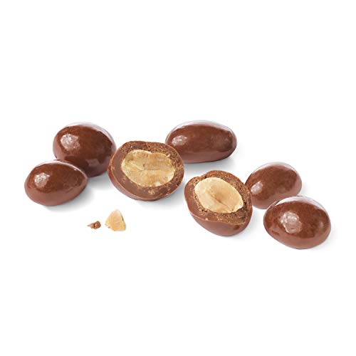 Russell Stover Sugar Free Chocolate Covered Peanuts, 3.6 Oz. Bag