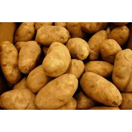 Potatoes Russet Fresh Produce 5 Lbs