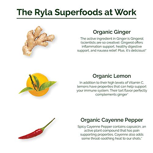Ryla - Ginger Lemon Cayenne Juice Shot Superfood Powder - 500Mg