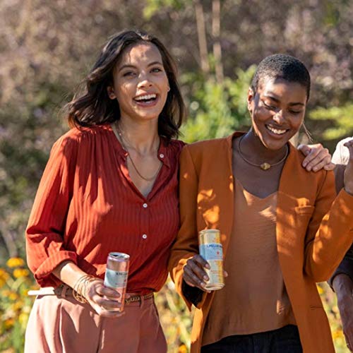 S.Pellegrino Essenza - All Flavor Variety Pack | Sparkling Flavo