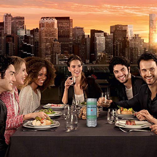 S.Pellegrino Essenza - All Flavor Variety Pack | Sparkling Flavo