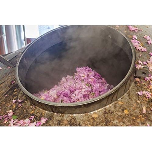 Angel Bake Rose Extract - Bulgarian. 2 Fl Oz.