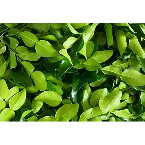 Dried Kaffir Lime Leaves In Bag, 0.88Oz