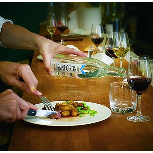 Saint-Geron Sparkling Natural Spring Mineral Water, 25.3 Fl Oz