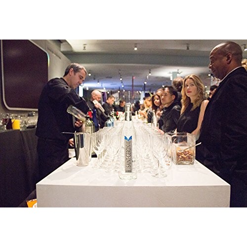 Saint-Geron Sparkling Natural Spring Mineral Water, 25.3 Fl Oz