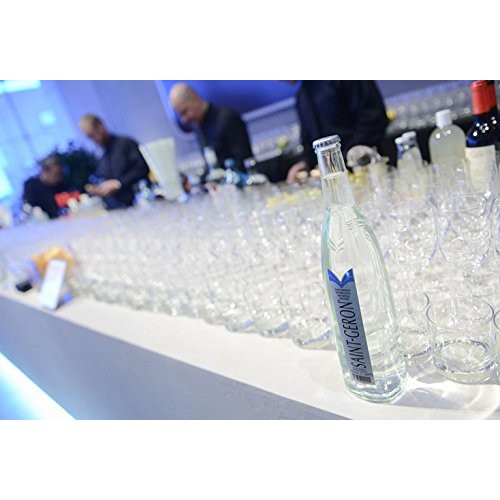 Saint-Geron Sparkling Natural Spring Mineral Water, 25.3 Fl Oz