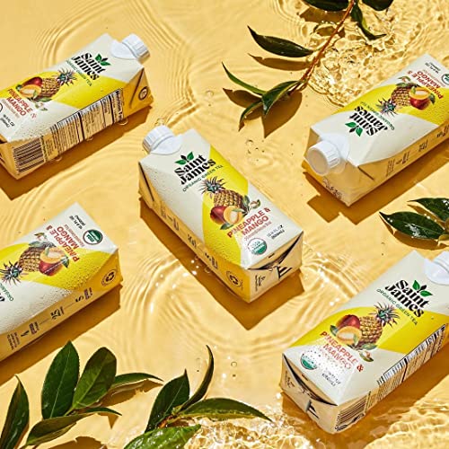Saint James Iced Tea | Pineapple & Mango Organic Green Tea | Org...