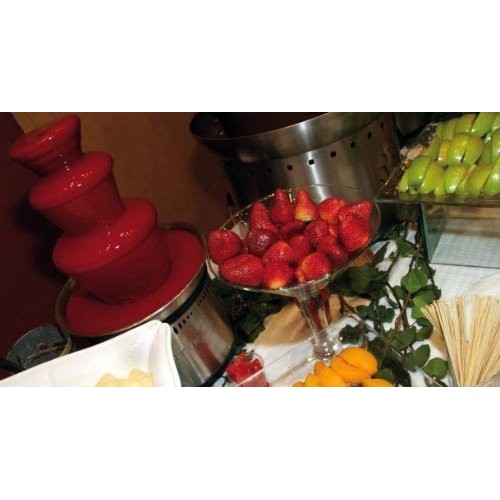 Salshamoy Chamoy Sauce For Fountain Machine For Fruit 1 Liter Ea