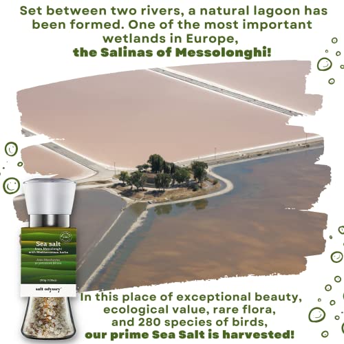 Salt Odyssey Pure Sea Salt, Salt For Seasoning Meat, Fish And Ch