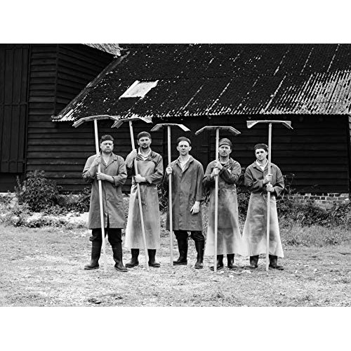 Maldon Sea Salt - Flaky Pyramid-Shaped Cystals