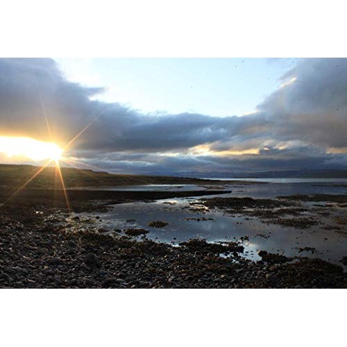 Saltverk Seaweed Sea Salt, 3.17 Ounces Of Handcrafted Gourmet Sa