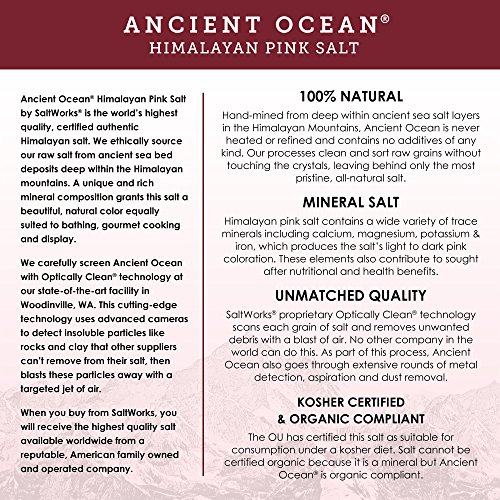 Saltworks Ancient Ocean Himalayan Pink Salt, Coarse Grain, 5 Pou