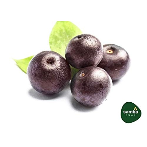 Sambasnax Keto-Friendly Protein Bars 6 Pack, Healthy Snacks Ac