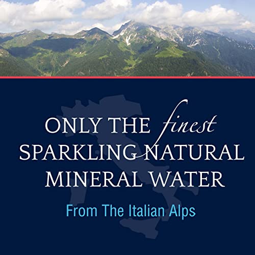 S.Pellegrino Sparkling Natural Mineral Water, 33.8 Fl Oz. 12 Pack