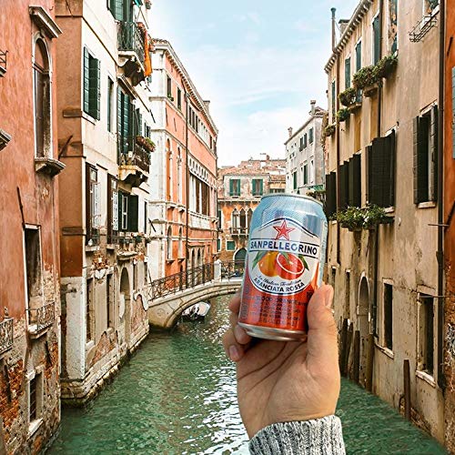 San Pellegrino Sparkling Fruit Beverages - All Flavor Variety Pa