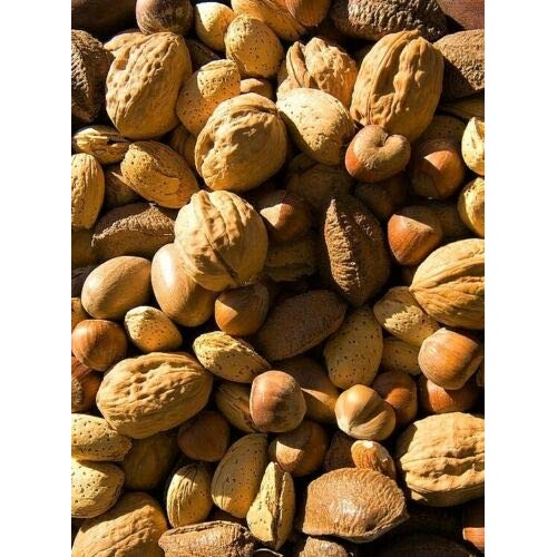 California Fresh Raw In-Shell Whole Mixed Nuts 2