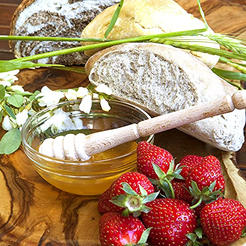 Sanniti Fulmer All Natural Hungarian Acacia Honey, 17.64 oz, Pa...