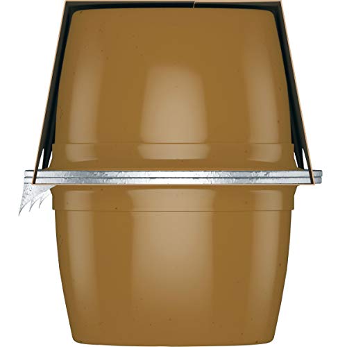 Santa Cruz Organic Cinnamon Apple Sauce, 6-4 Ounce Cups Pack Of 4