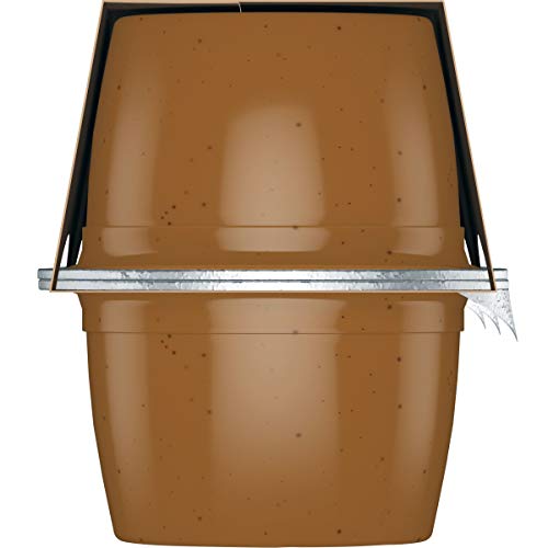 Santa Cruz Organic Apple Apricot Sauce, 6-4 Ounce Cups Pack Of 4