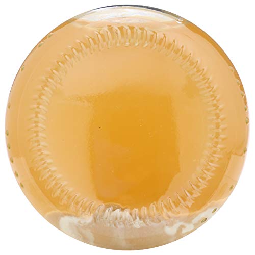 Santa Cruz Organic Ginger Juice Blend, 8 Ounces