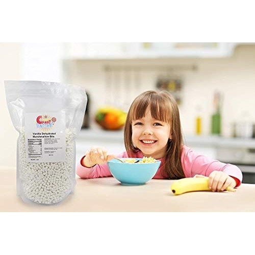 Vanilla Mini Dehydrated Marshmallows In Resealable Bag, 1 Lb