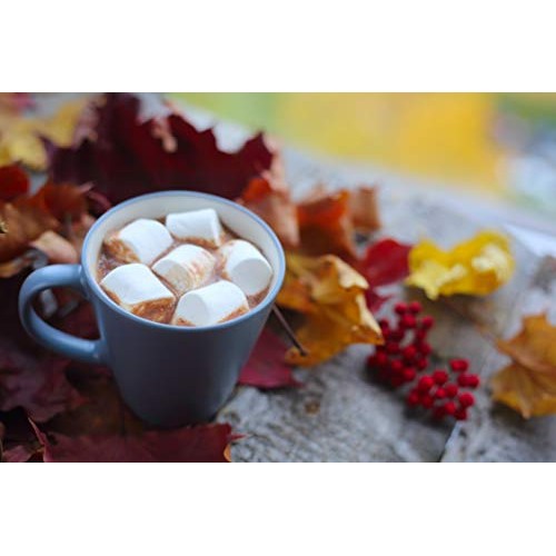 Sarahs Candy Factory Vegan Jumbo Campfire Vanilla Marshmallow