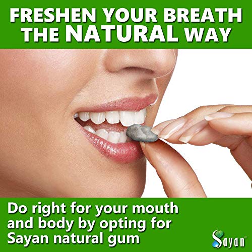 Sayan Sugar Free All Natural Gum, Siberian Pine Tree Resin and B...