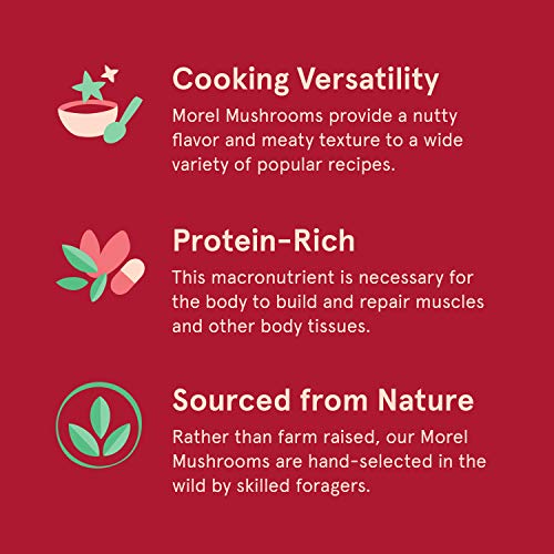 Sbo Dried Morel Mushrooms - 4 Oz Bag Of All-Natural Non-Gmo Vega