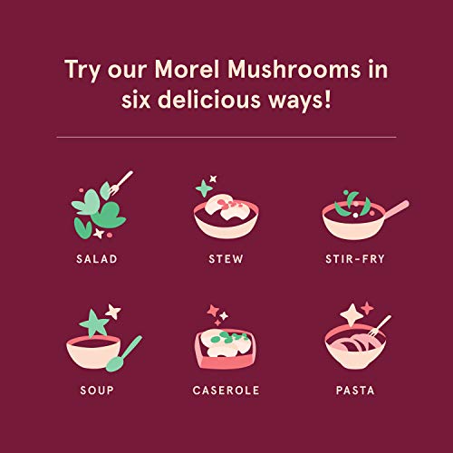 Sbo Dried Morel Mushrooms - 4 Oz Bag Of All-Natural Non-Gmo Vega