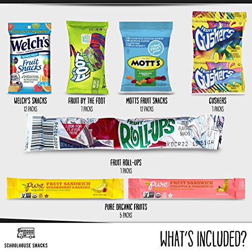 Fruit Snacks Bulk | Fruit Snacks for Kids bundle with Fruit Roll...