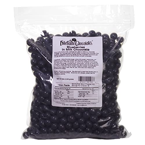 Chocolate Covered Blueberries