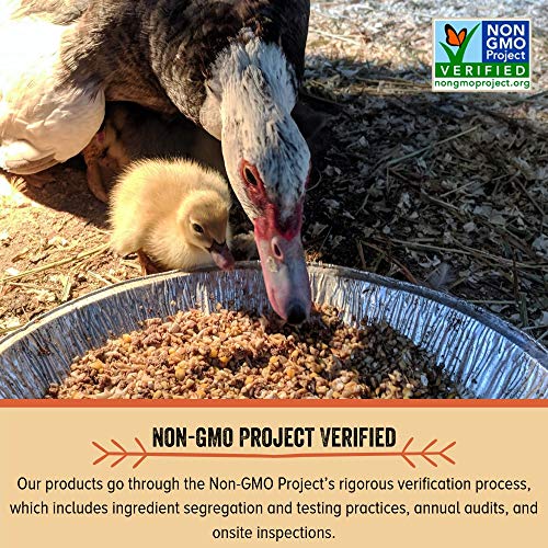 Naturally Free Organic Starter Feed For Chickens And Ducks - 10-