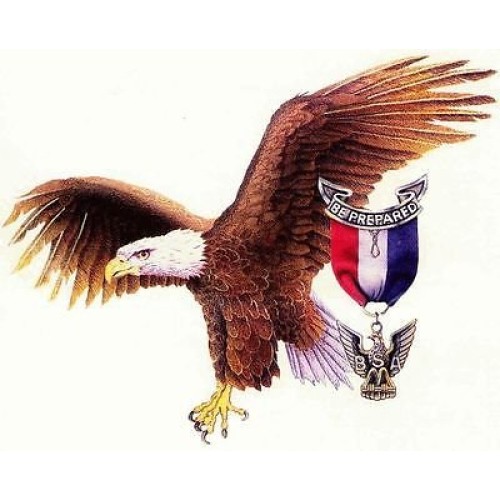 Sdore American Eagle Scout Edible 1/2 Half Sheet Image Frosting